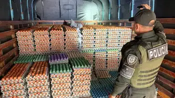 Más de 149 mil huevos de contrabando de Ecuador fueron incautados en Nariño