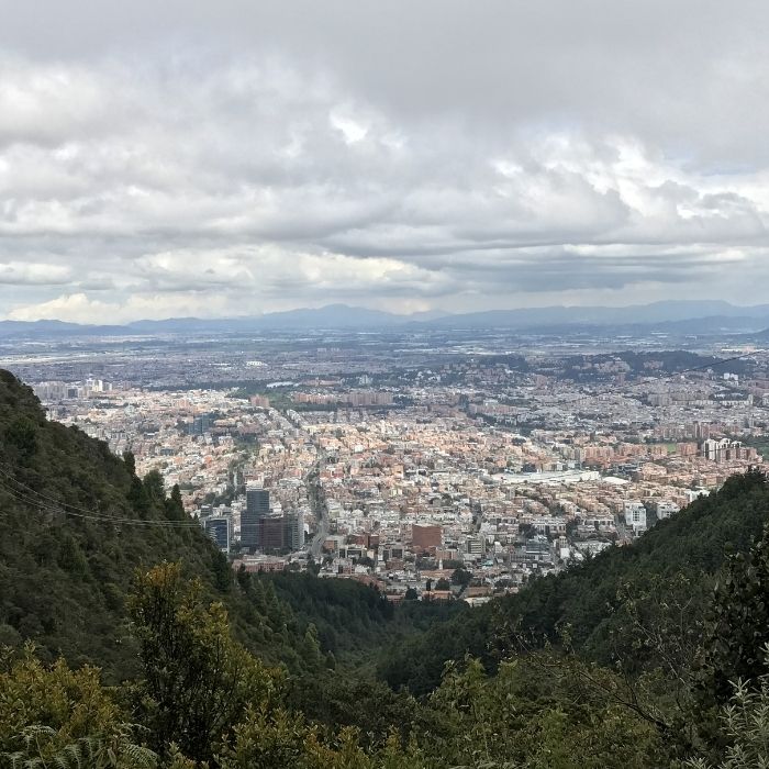 Imagen subida